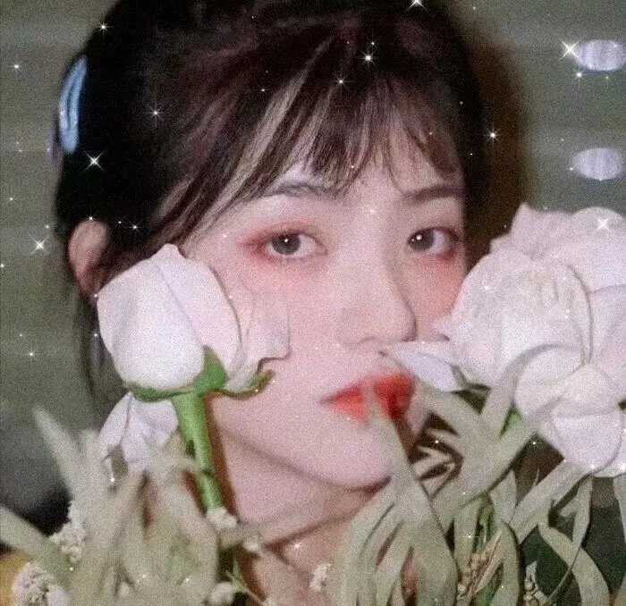 同途她是他
